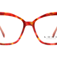 Lola - obrazek 4
